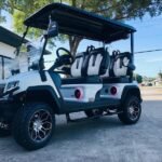 2025 Evolution D5 Maverick 4 Plus Pearl White