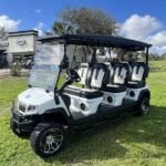 2025 Evolution D5 Maverick 6 Plus Pearl White