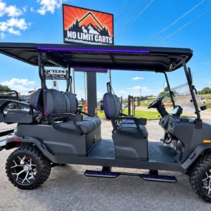 2026 Denago EV Rover XL6 Lifted 6-Passenger Lithium Cart – view 2