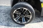 2025 E-Z-GO Valor EX1 Sport Gas PTV – black | High-Function, Low-Price | EX1 EFI Engine - Image 3